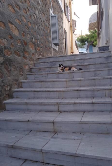 Syros Stone Yard House Villa Ermoupoli Exterior foto